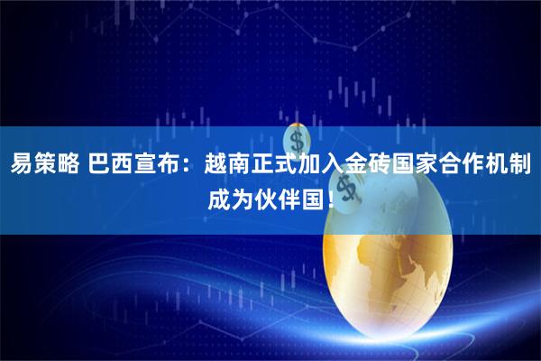 易策略 巴西宣布：越南正式加入金砖国家合作机制成为伙伴国！