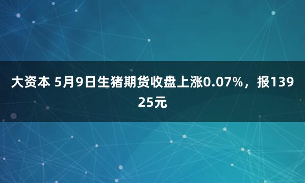 大资本 5月9日生猪期货收盘上涨0.07%，报13925元