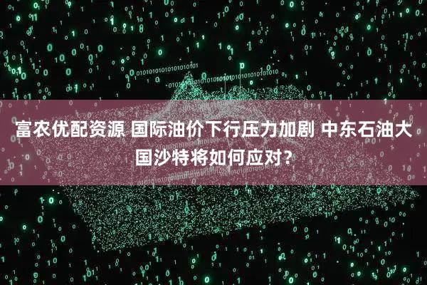 富农优配资源 国际油价下行压力加剧 中东石油大国沙特将如何应对?